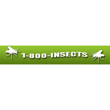 1800 Insects